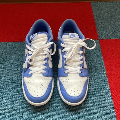 Nike Dunk Low Retro BTTYS "Polar Blue"