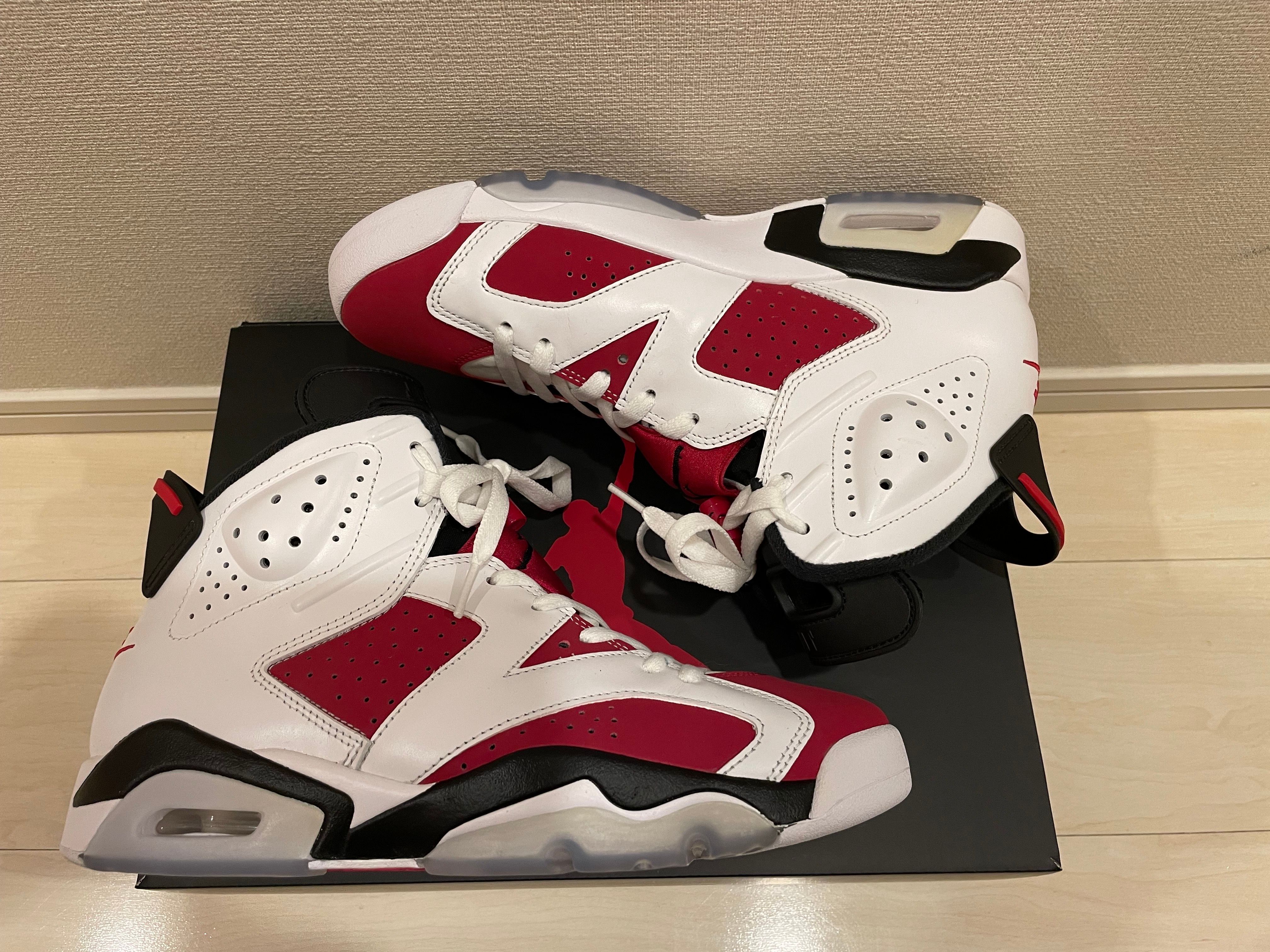 Nike Air Jordan 6 "Carmine" (2021)