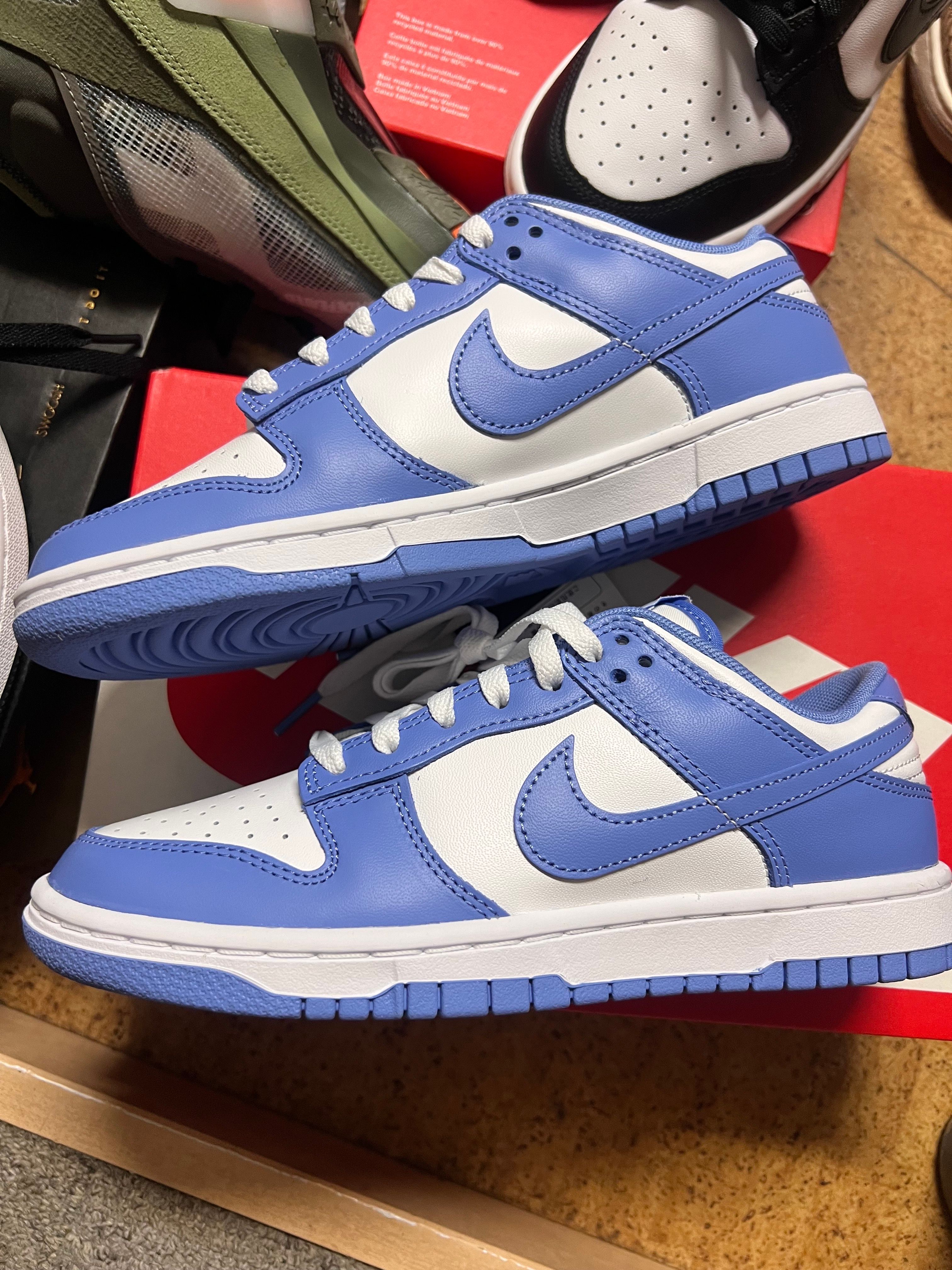 Nike Dunk Low Retro BTTYS "Polar Blue"