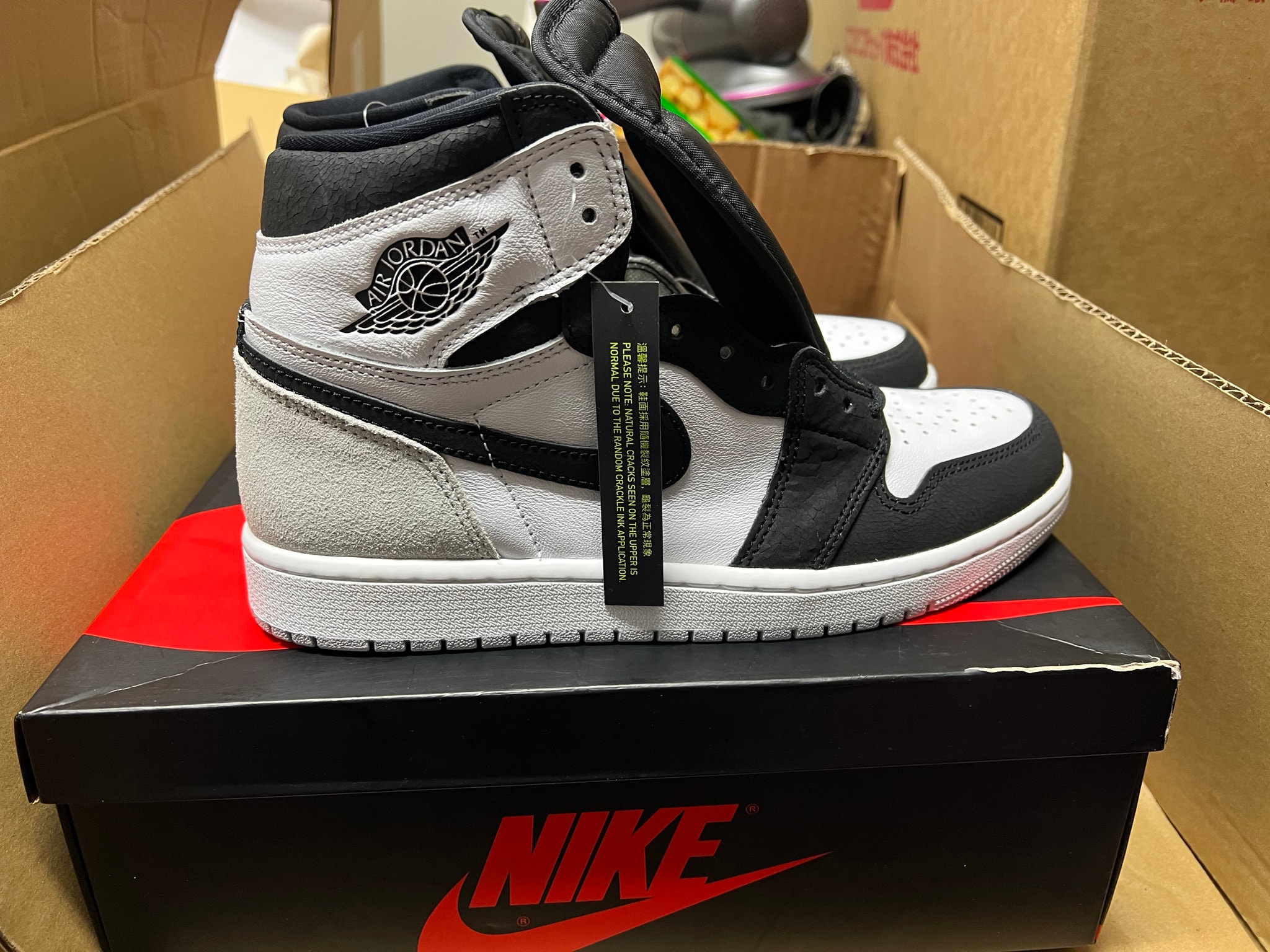 Nike Air Jordan 1 High OG "Bleached Coral"