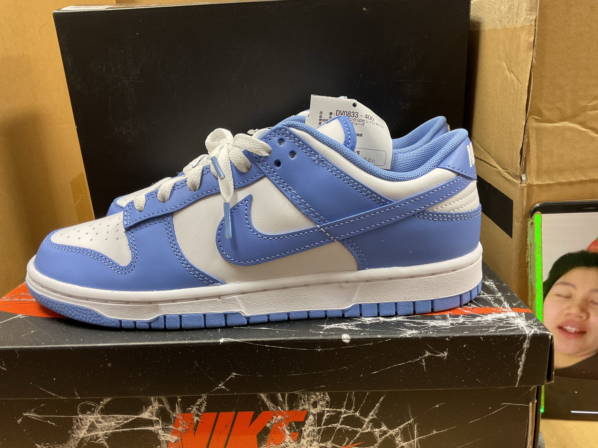 Nike Dunk Low Retro BTTYS "Polar Blue"