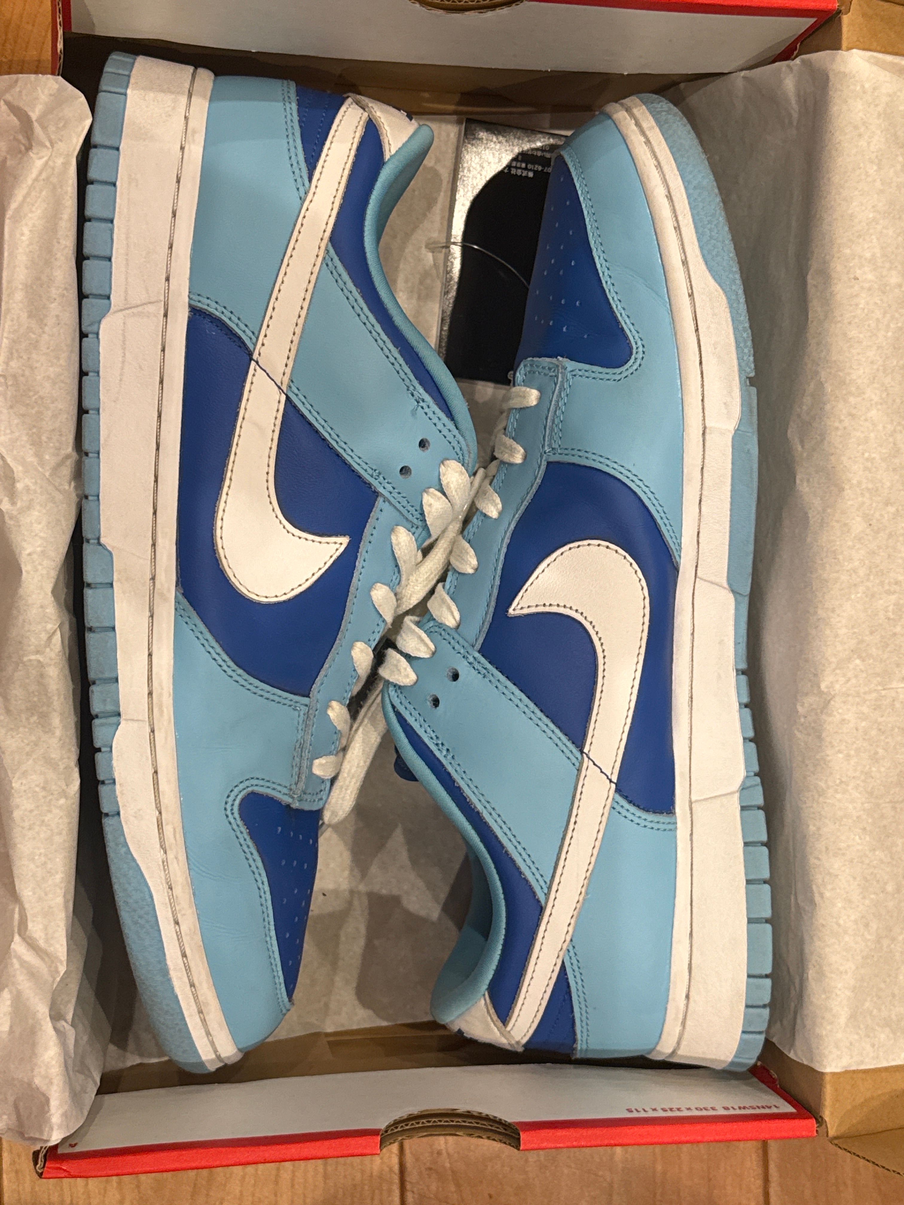 Nike Dunk Low Retro QS "Argon" (2022)