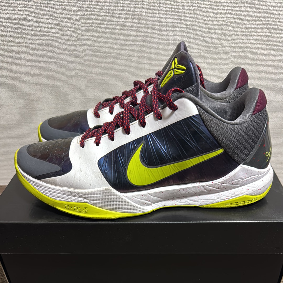 Nike Kobe 5 Protro "Chaos" (2019)