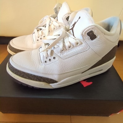 Nike Air Jordan 3 Retro "Mocha" (2018)