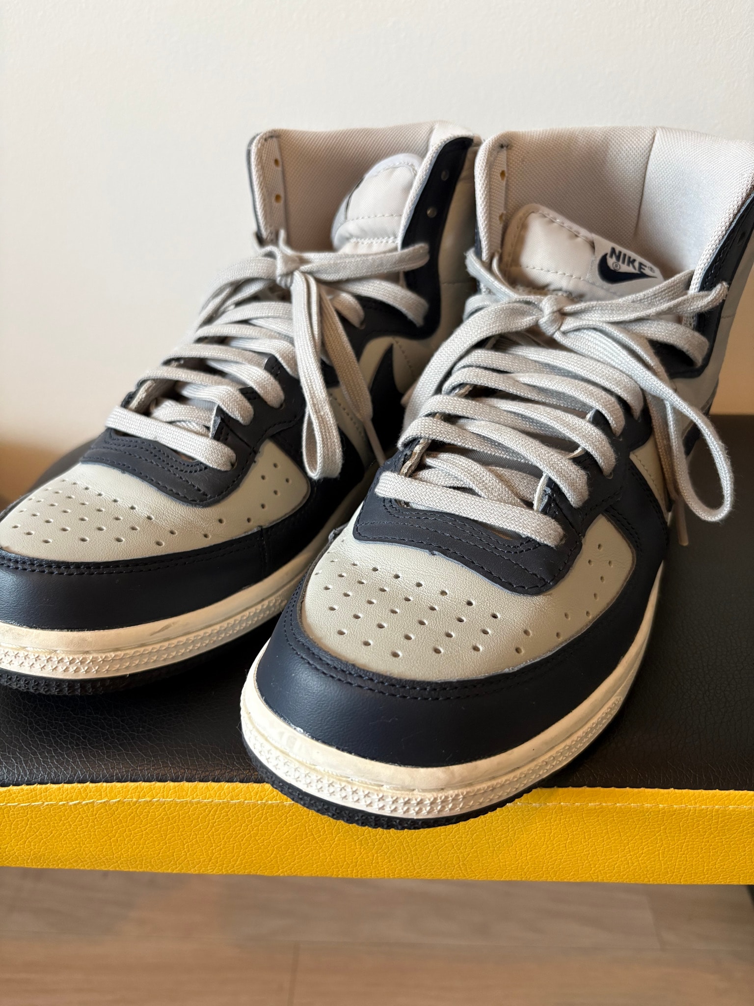 Nike Terminator High "Georgetown/Granite and Dark Obsidian"(2022)