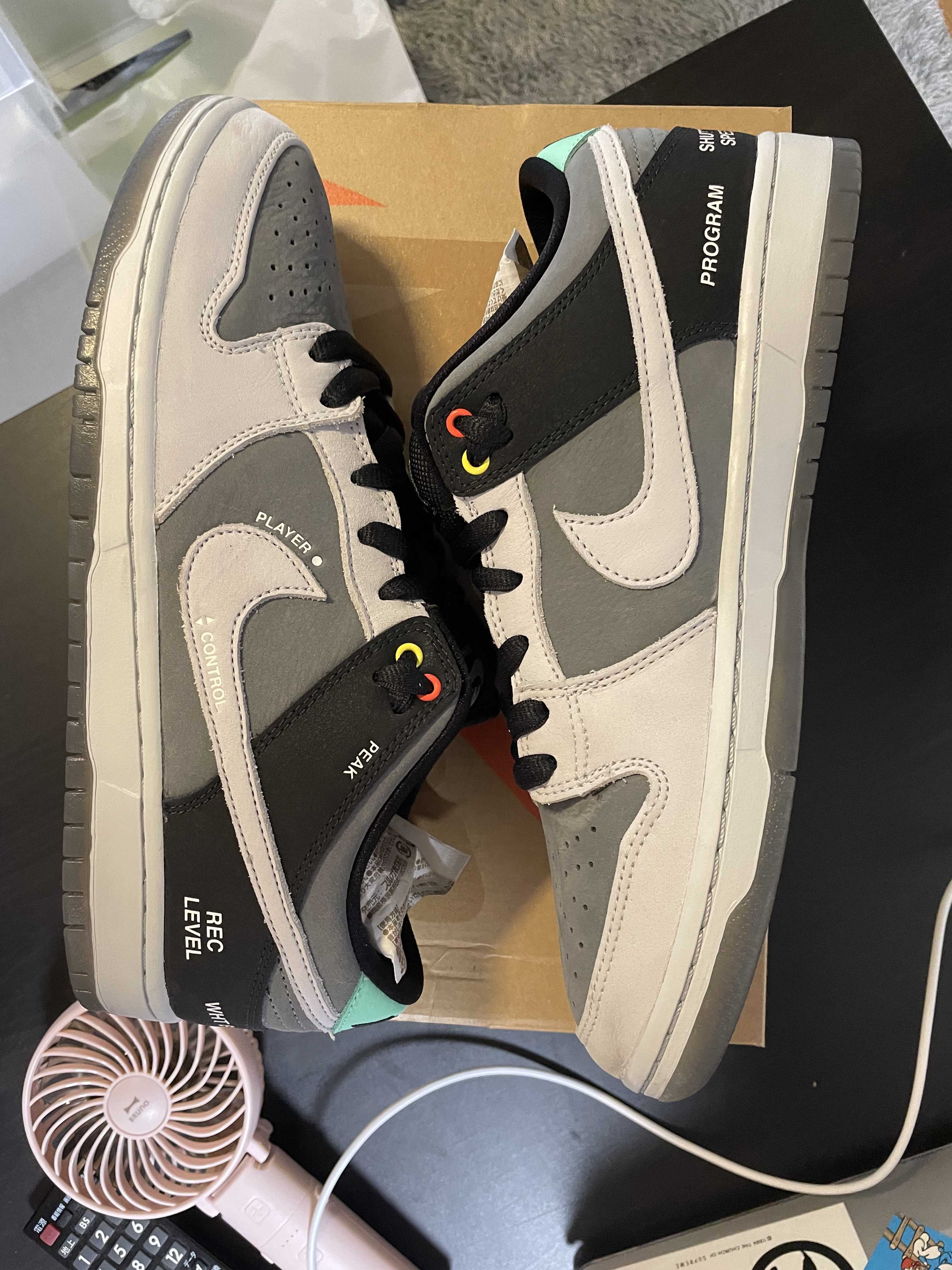 Nike SB Dunk Low Pro "VX1000 Camcorder"