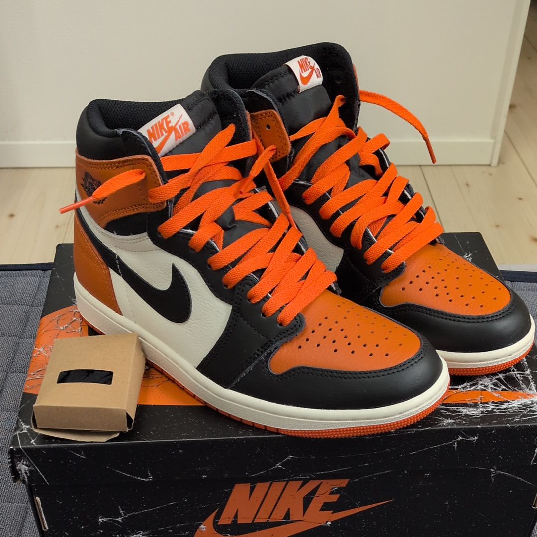 Nike Air Jordan 1 Retro High OG "Shattered Backboard" (2025)