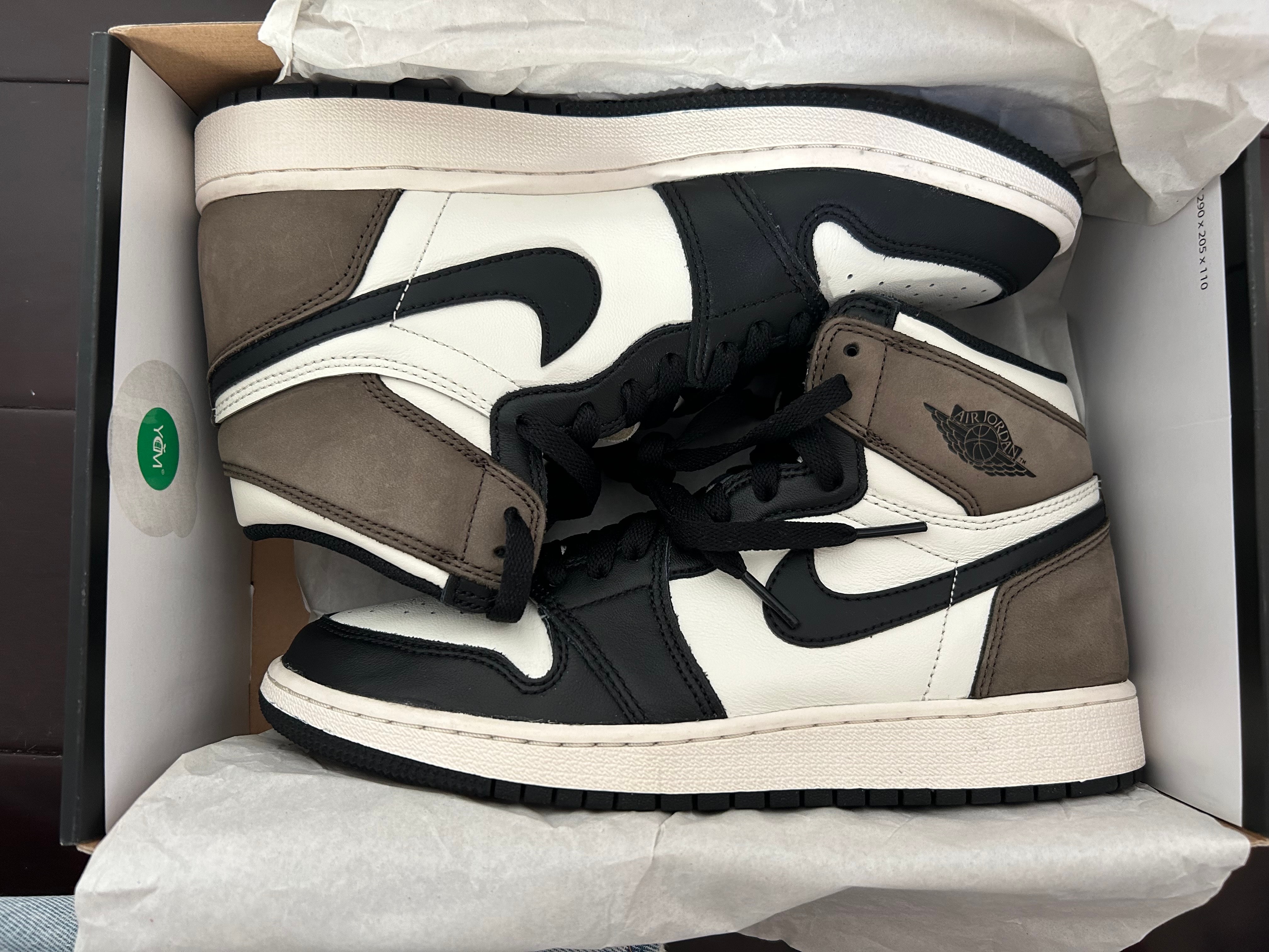Nike GS Air Jordan 1 High OG "Sail/Dark Mocha/Black"