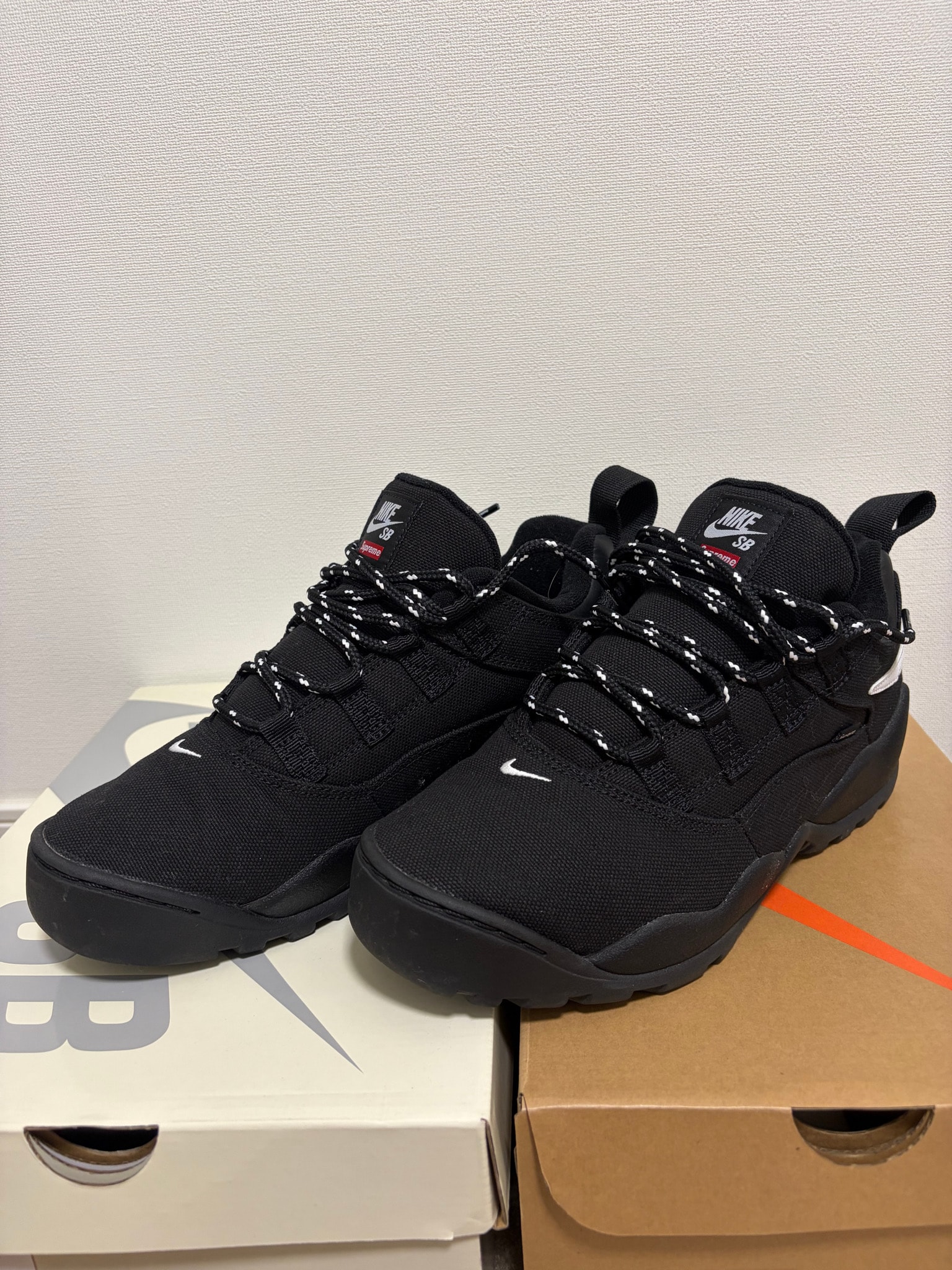 Supreme × Nike SB Darwin Low "Black"