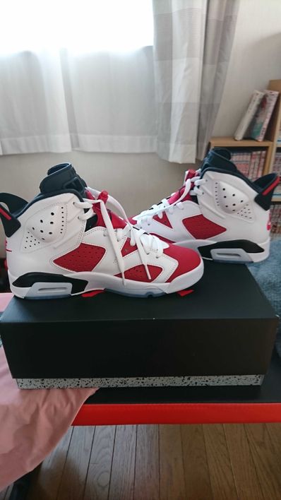Nike Air Jordan 6 "Carmine" (2021)