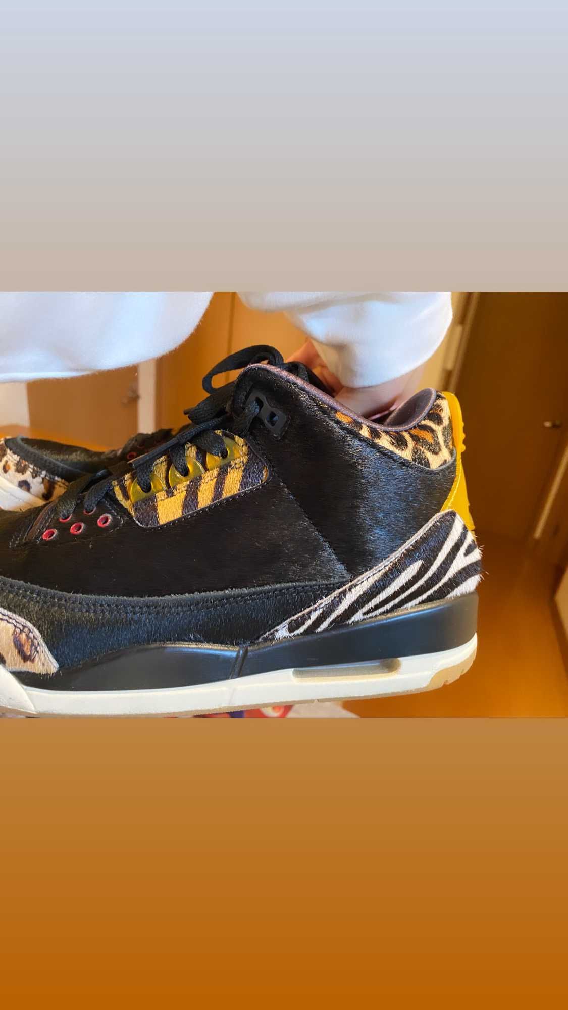 Nike Air Jordan 3 Retro SE "Animal Instinct/Safari"