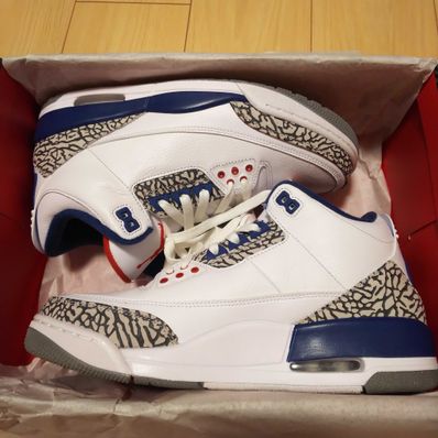 Nike Air Jordan 3 Retro "True Blue" (2016)