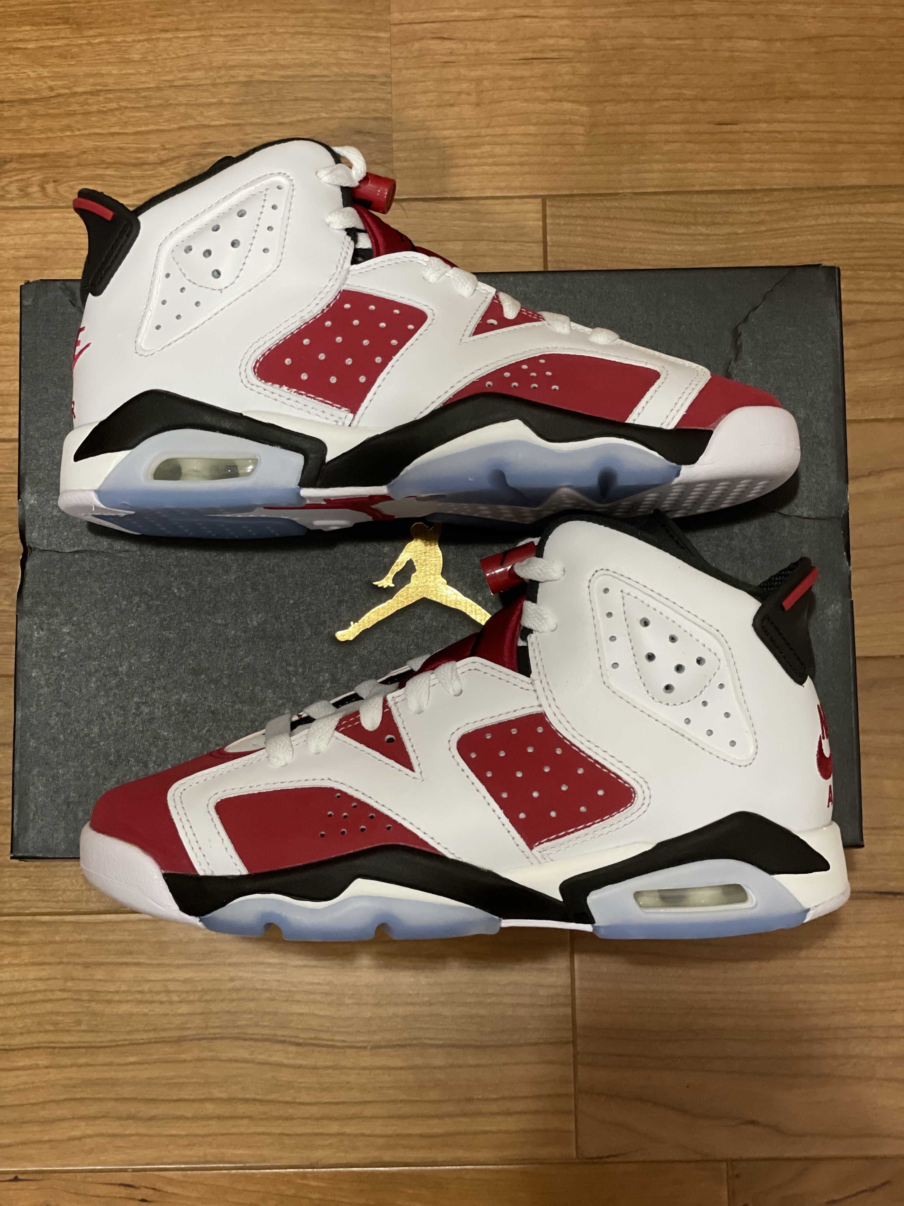 Nike Air Jordan 6 GS "Carmine" (2021)