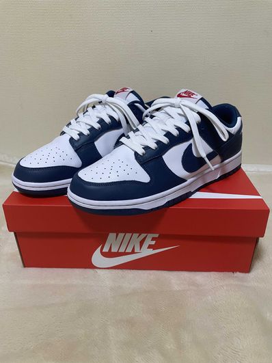 Nike Dunk Low "Valerian Blue"