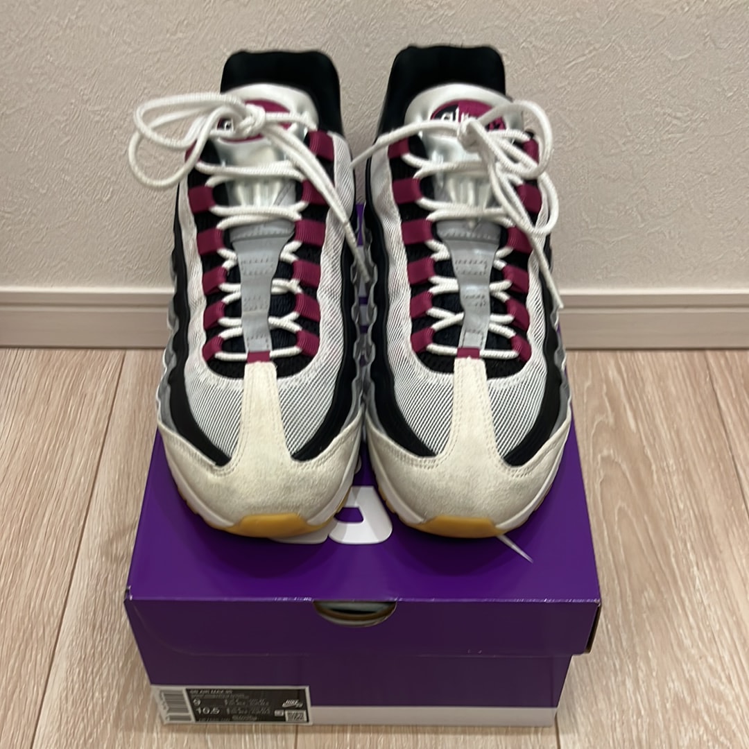 Nike SB Air Max 95 "Summit White/Cactus Flower"