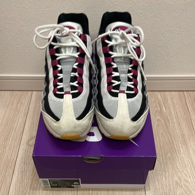 Nike SB Air Max 95 "Summit White/Cactus Flower"