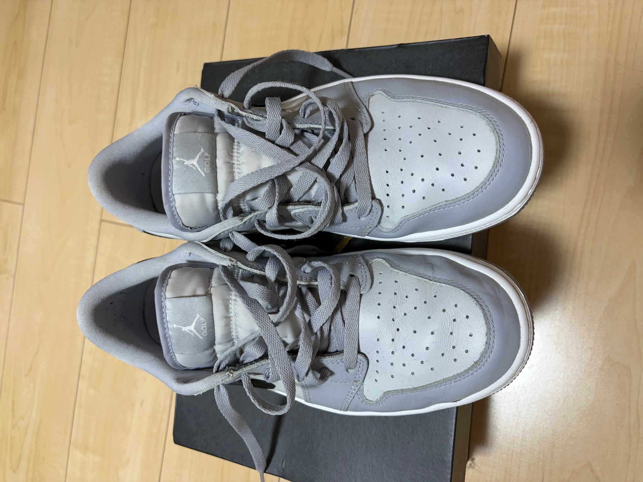 Nike Air Jordan 1 Low Golf 
