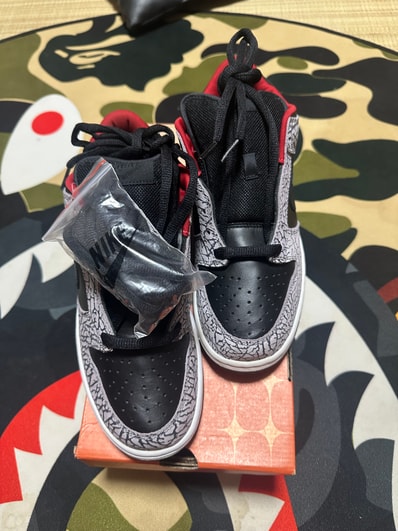 Supreme × Nike SB Dunk Low "Black Cement/Safari" (2002)
