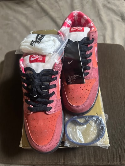 CONCEPTS × Nike SB Dunk Low "Red Lobster"