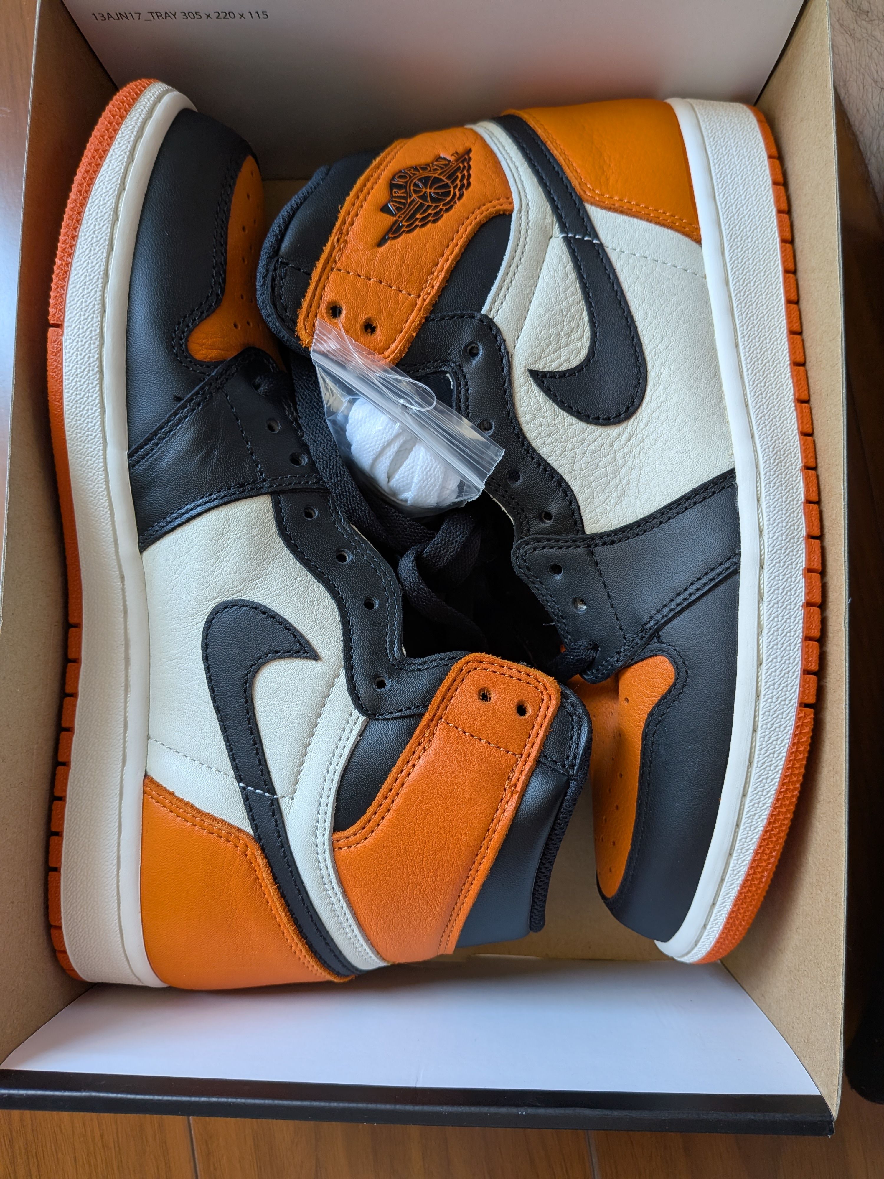 Nike Air Jordan 1 Retro High OG "Shattered Backboard"