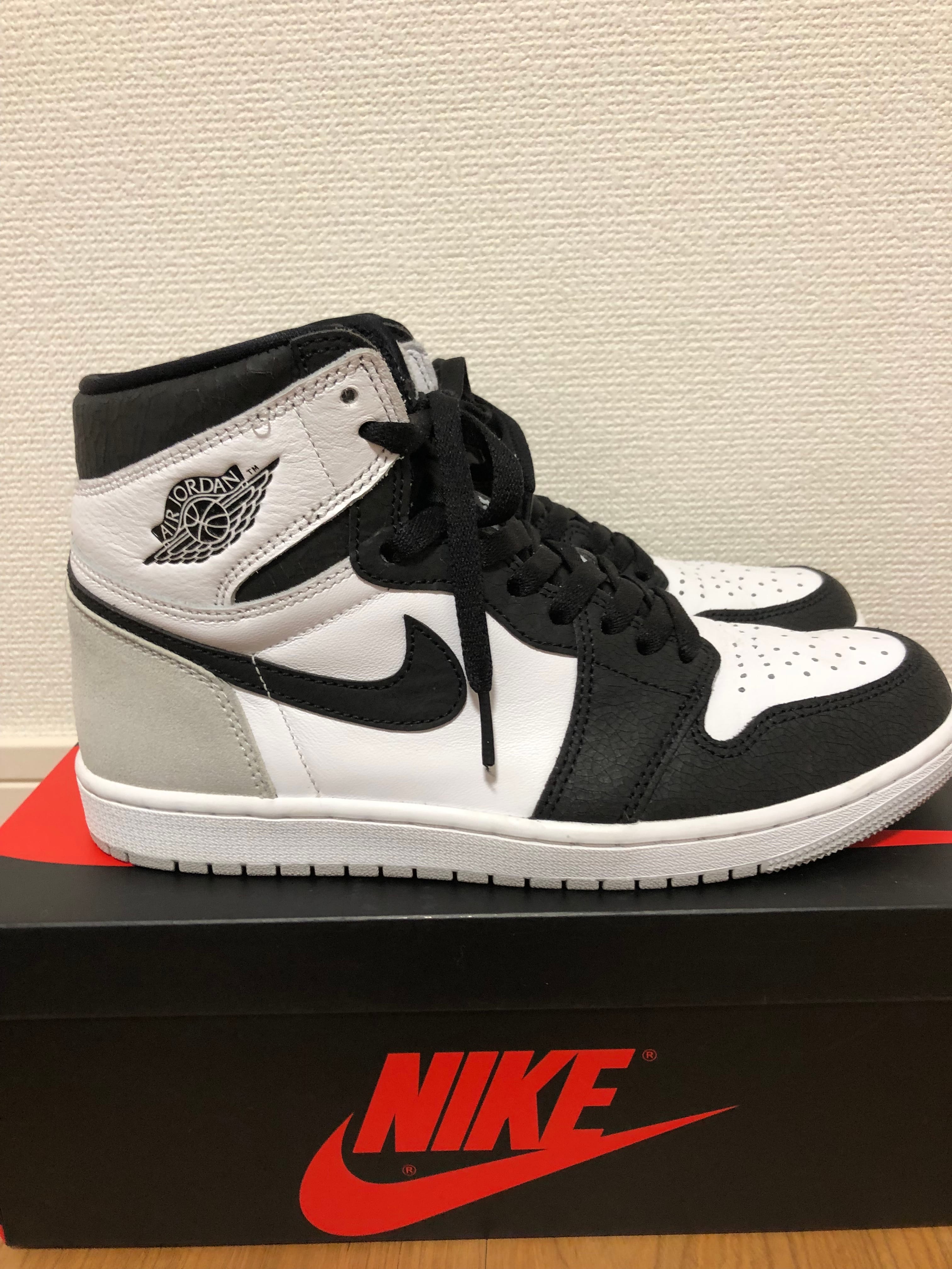 Nike Air Jordan 1 High OG "Bleached Coral"