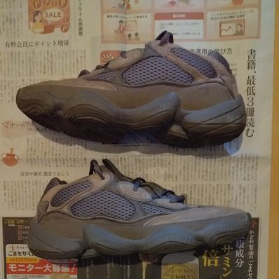 adidas Yeezy 500 "Brown Clay"