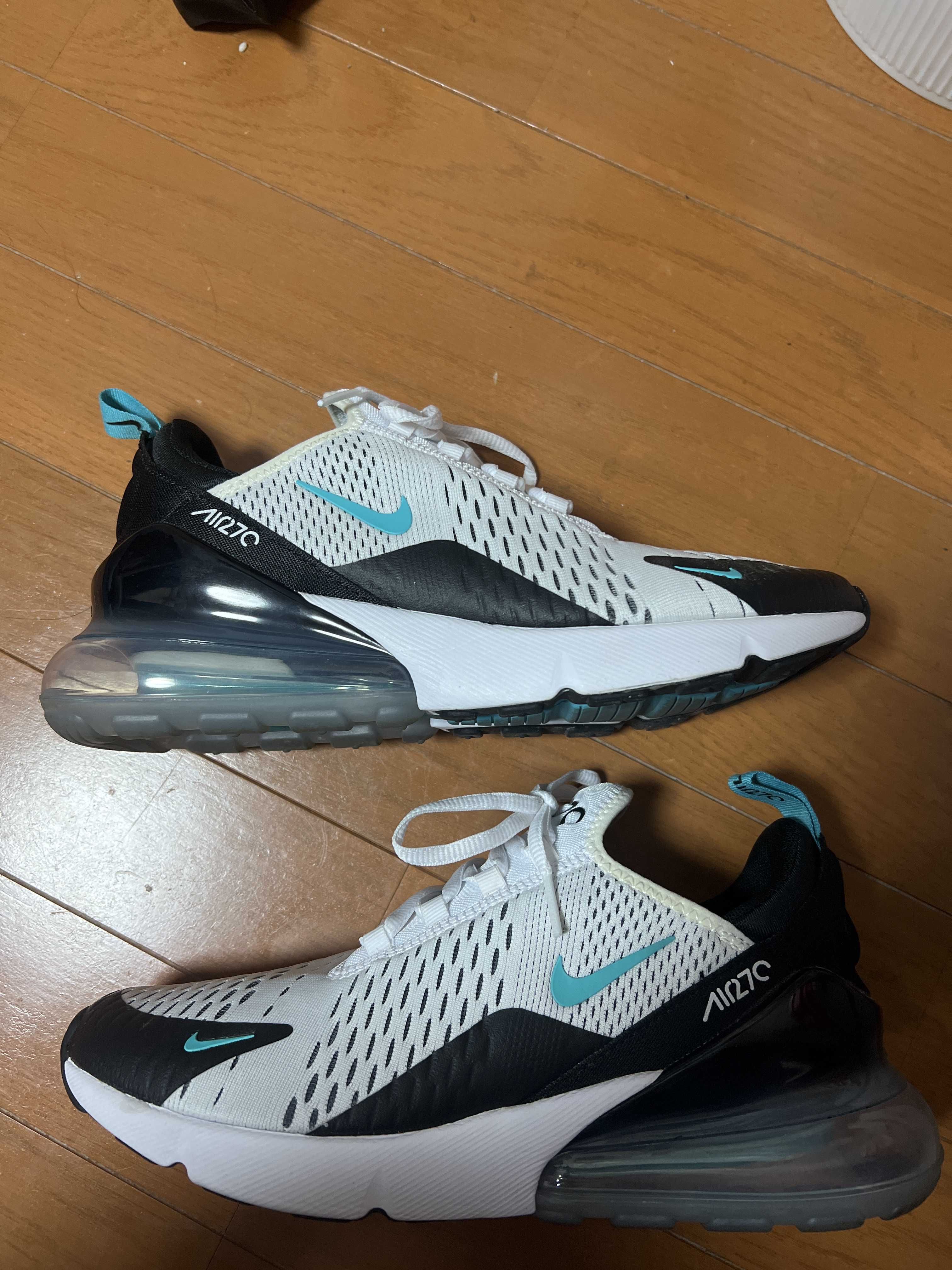 Nike Air Max 270 "Dusty Cactus"