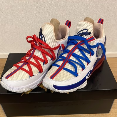 NIKE LEBRON 17 "TUNE SQUAD"