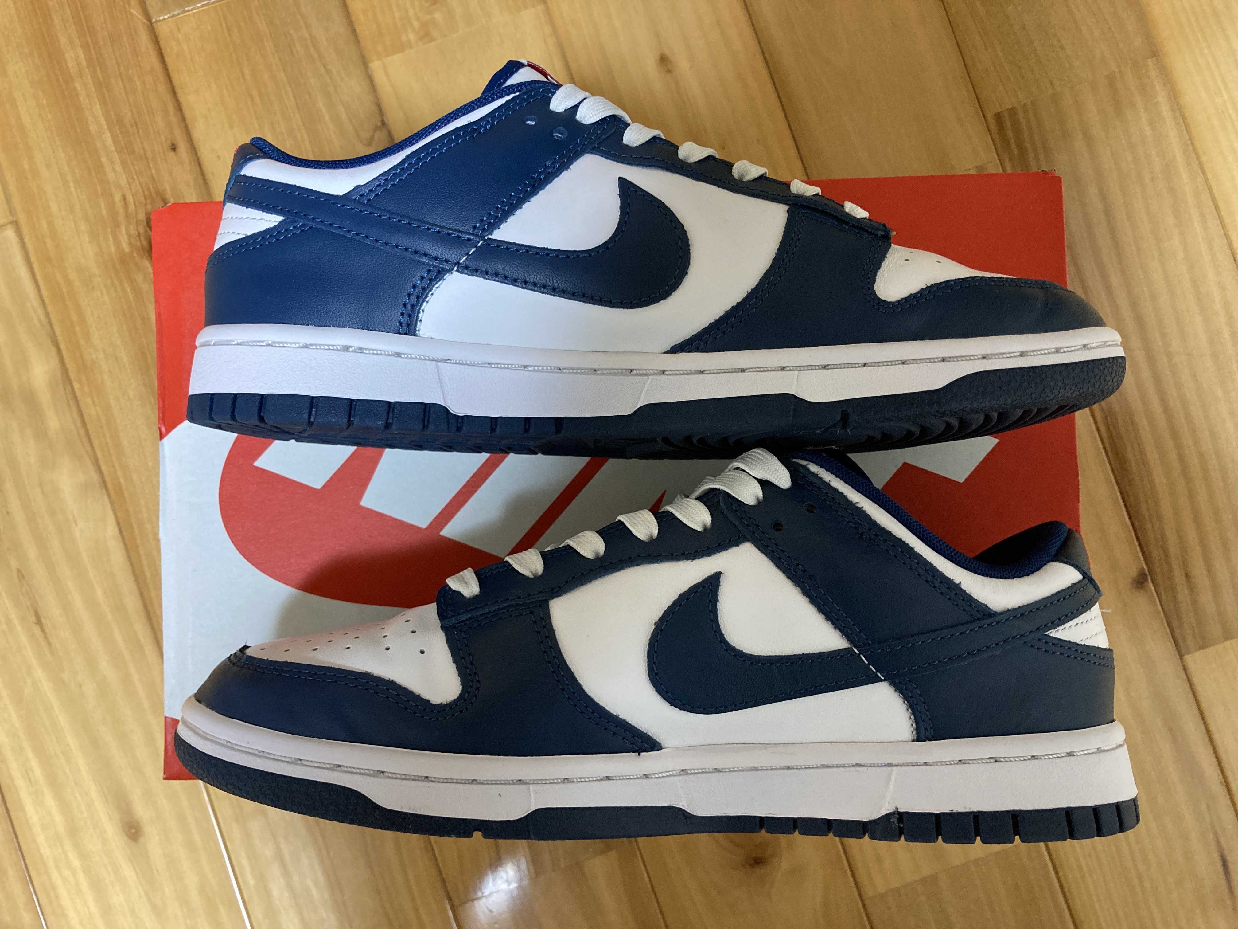 Nike Dunk Low "Valerian Blue"