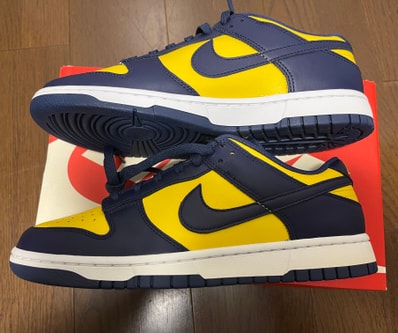 Nike Dunk Low "Michigan"