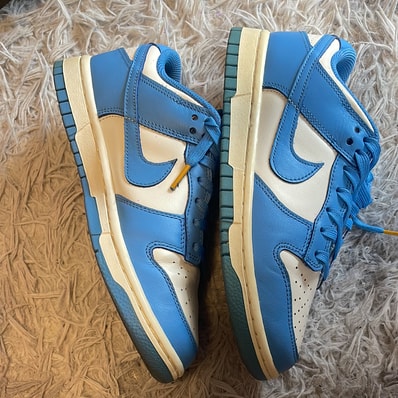 Nike Women's Dunk Low "Coast"