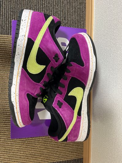 NIKE SB DUNK LOW