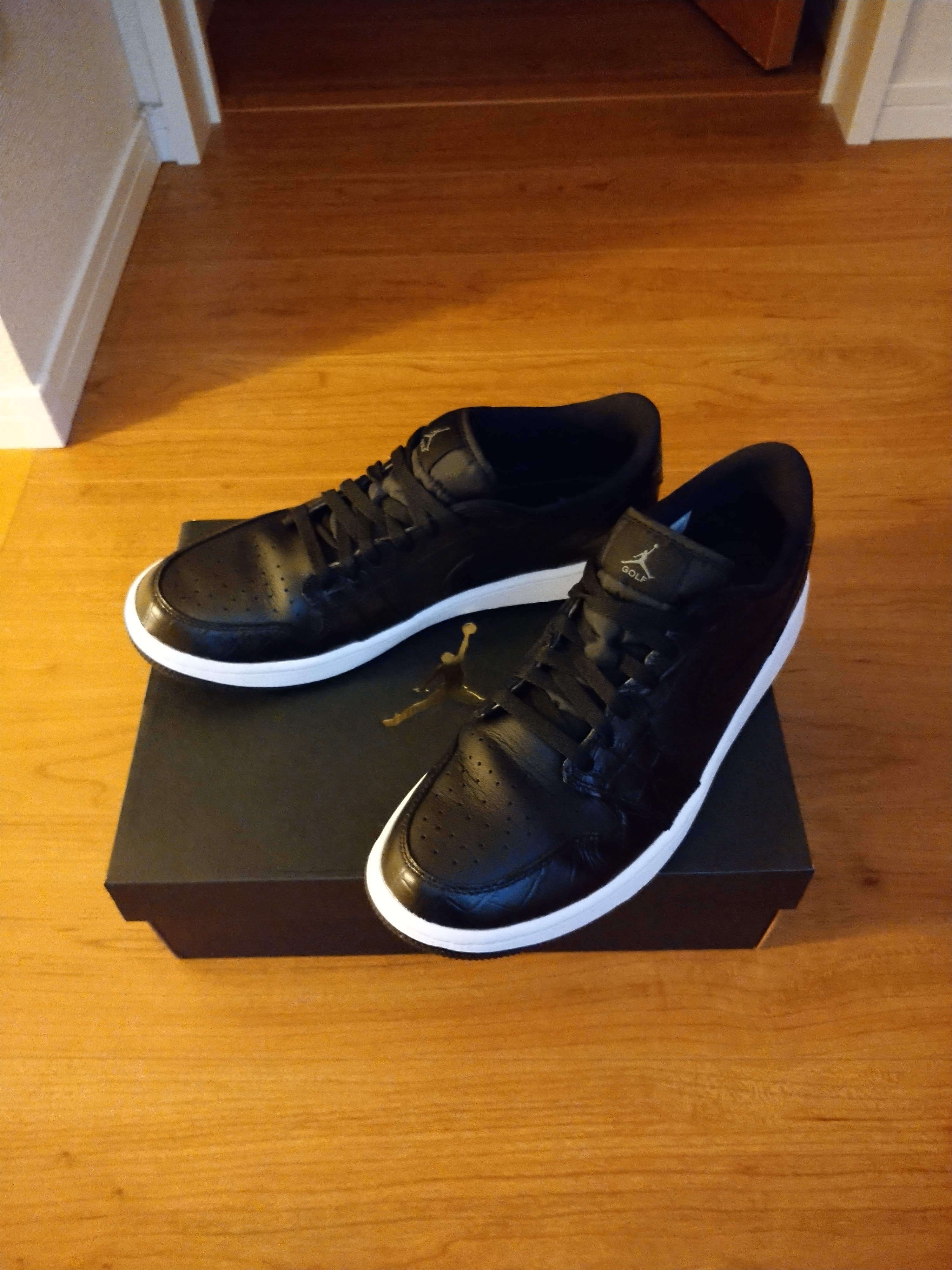 Nike Air Jordan 1 Low Golf