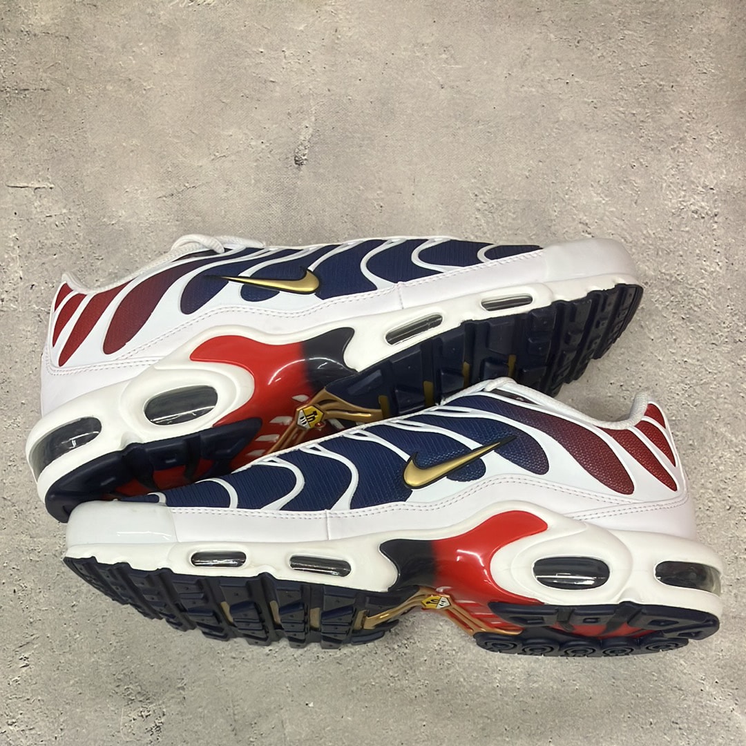 ナイキ エアマックスプラス "パリ・サンジェルマン"