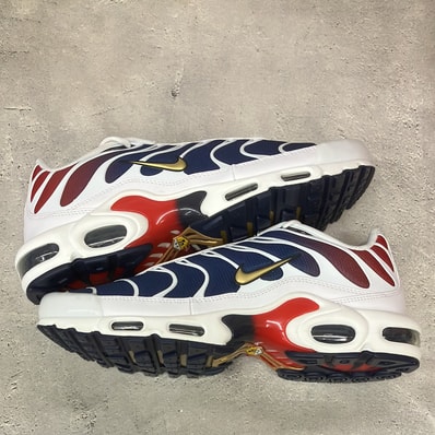 Nike Air Max Plus "Paris Saint Germain"