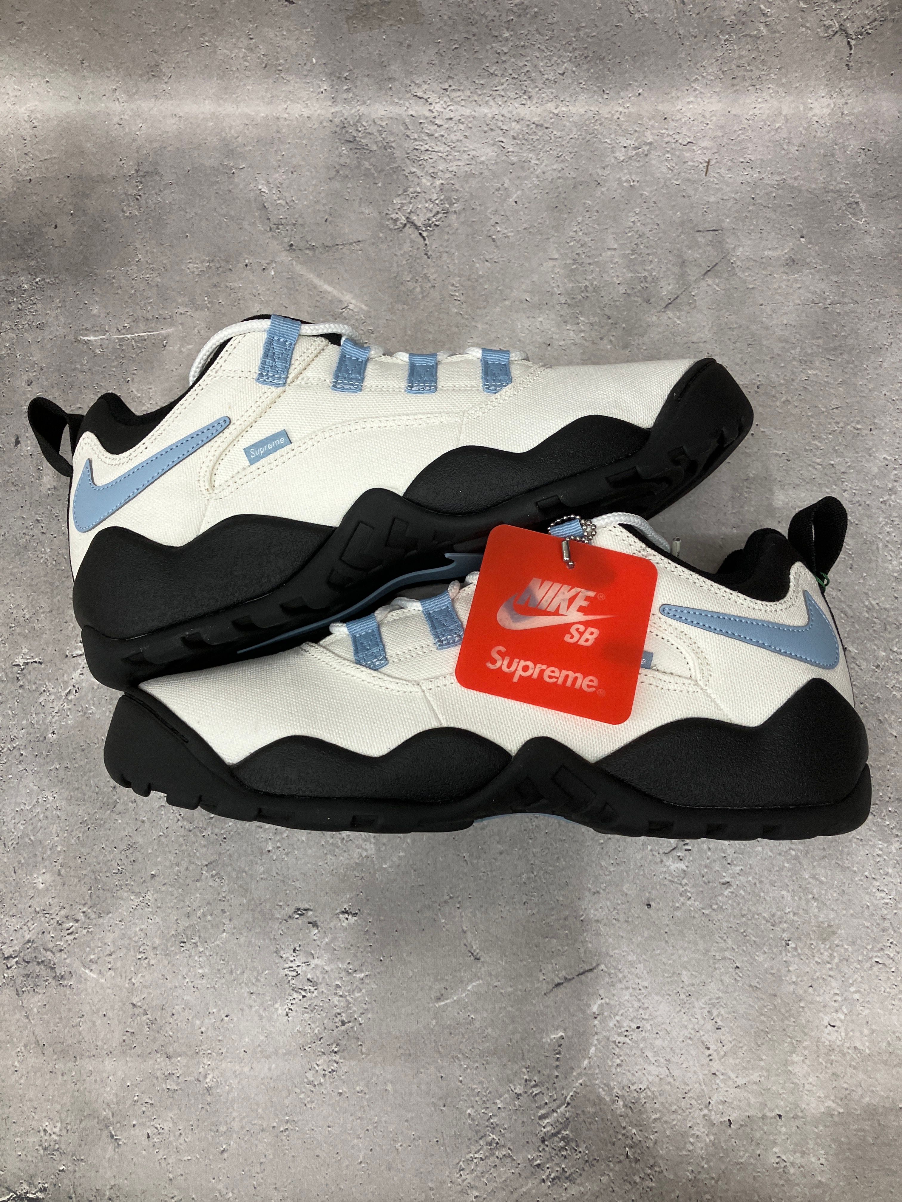 Supreme × Nike SB Darwin Low "White"