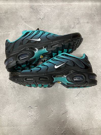 Nike Air Max Plus "Light Retro"