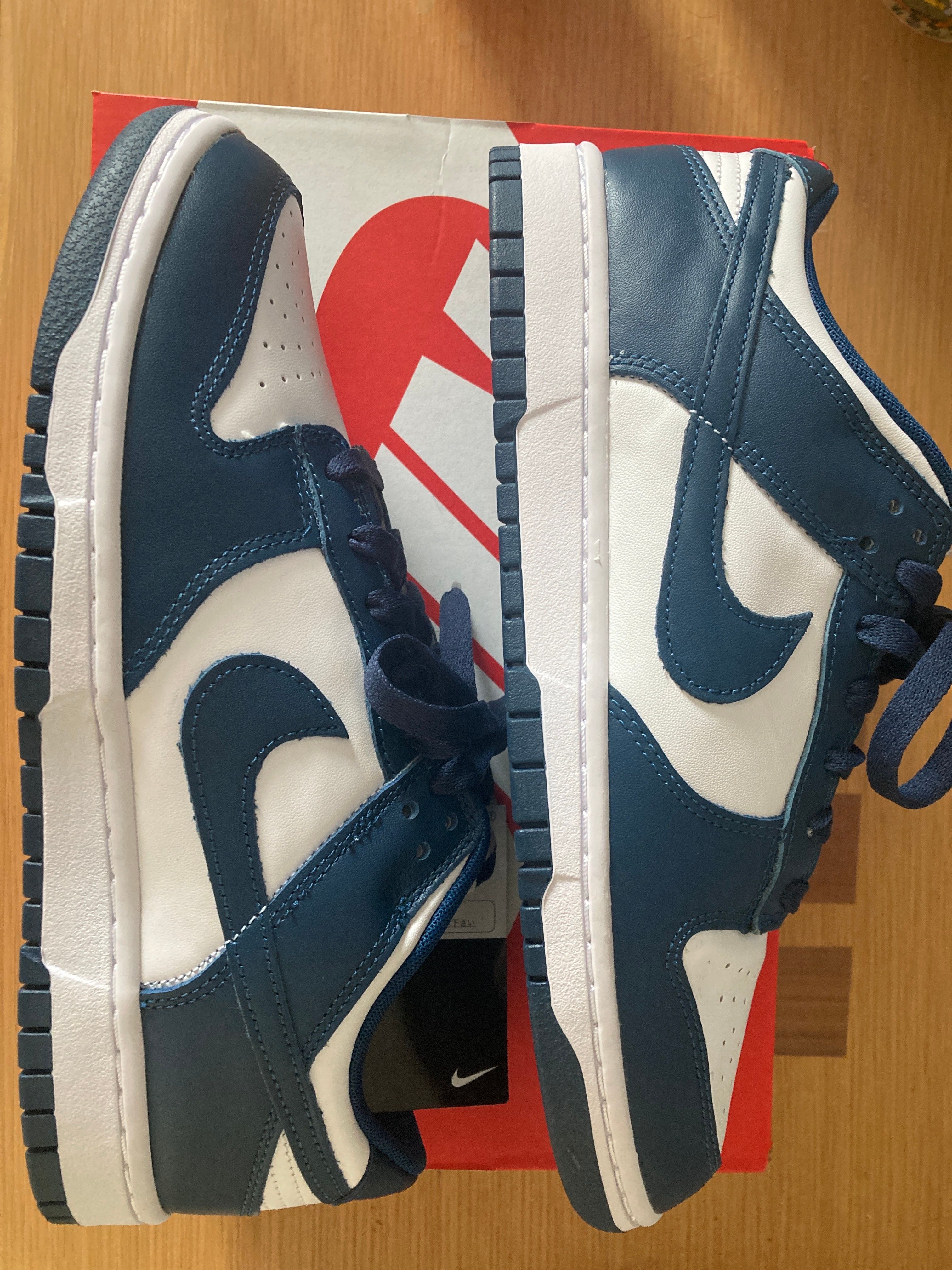 Nike Dunk Low "Valerian Blue"