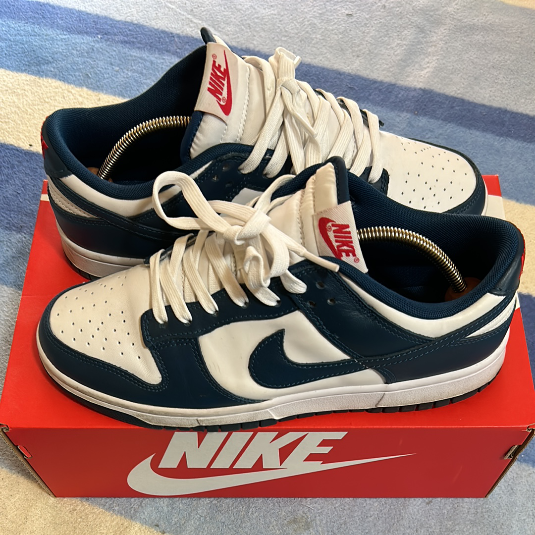 Nike Dunk Low "Valerian Blue"