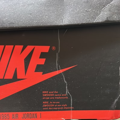 Nike Air Jordan 1 High OG "Bleached Coral"