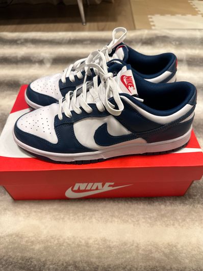 Nike Dunk Low "Valerian Blue"