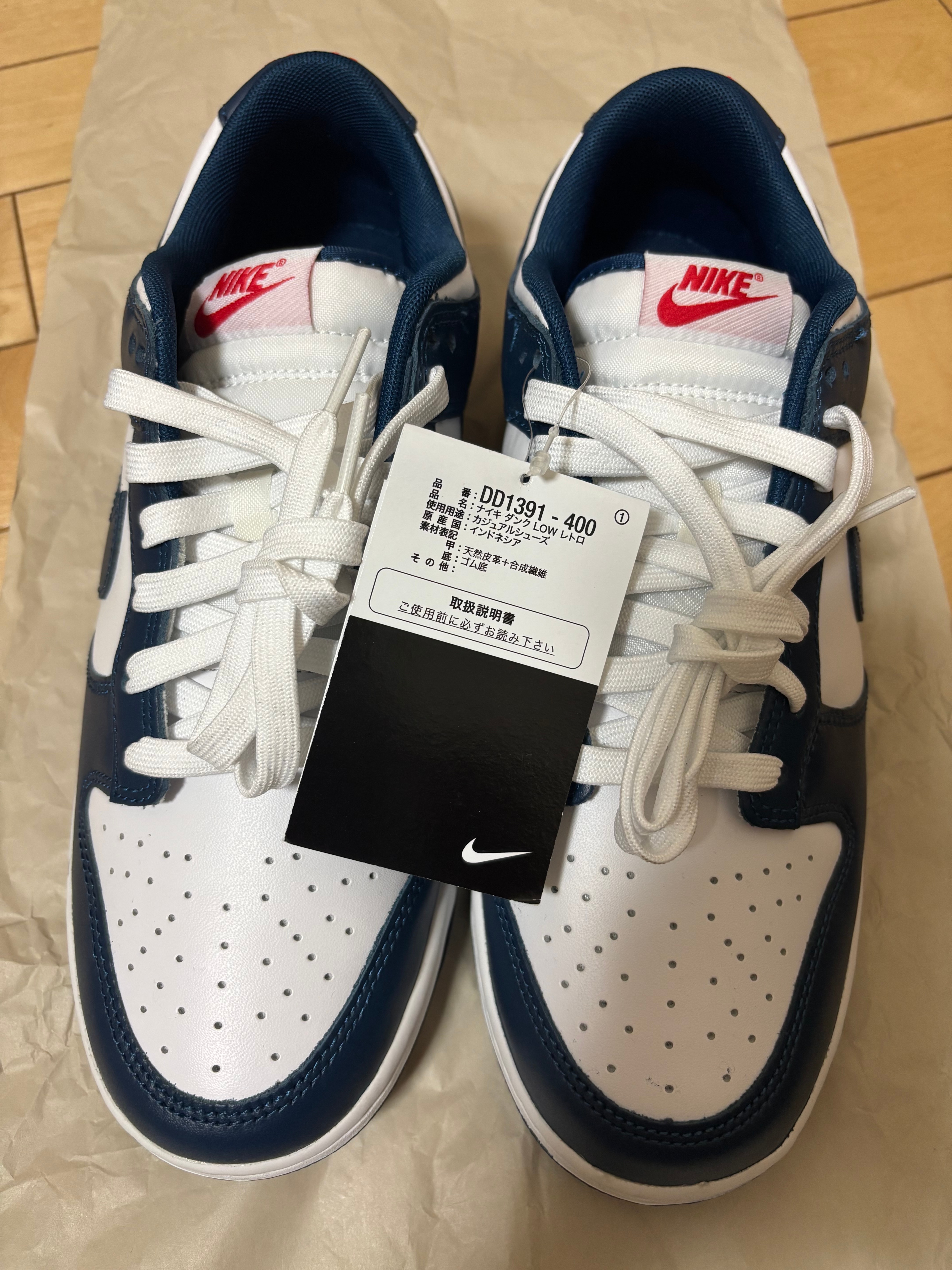 Nike Dunk Low "Valerian Blue"