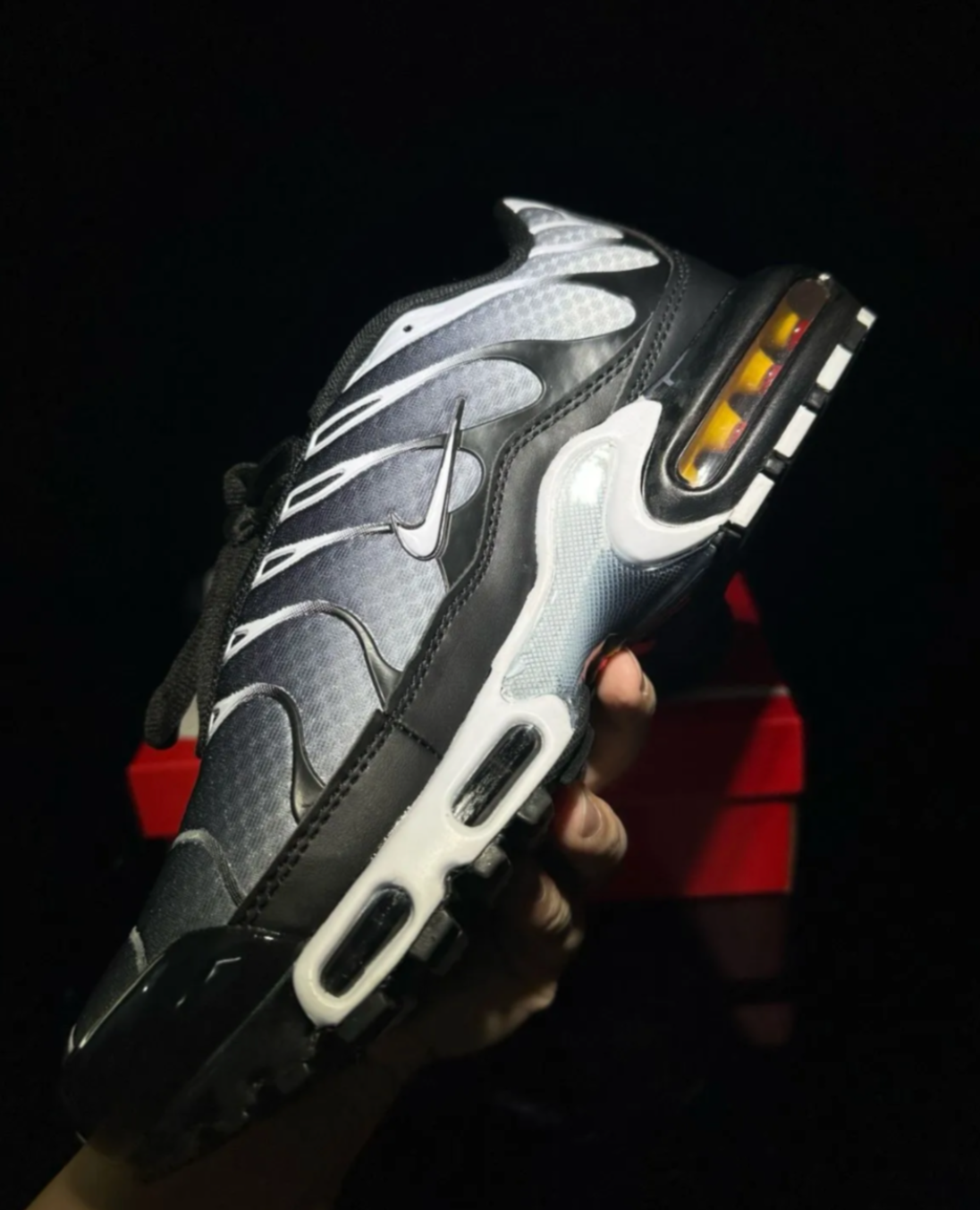 Nike Air Max Plus "Black Silver White"