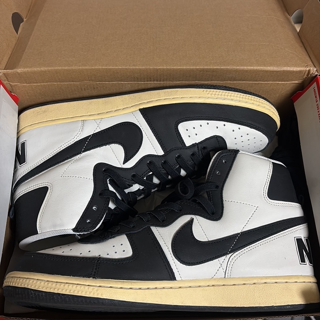 Nike Terminator High "Black and Phantom"