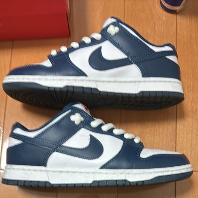 Nike Dunk Low "Valerian Blue"