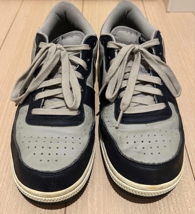Nike Terminator Low "Dark Obsidian and Granite/Georgetown"(2023)