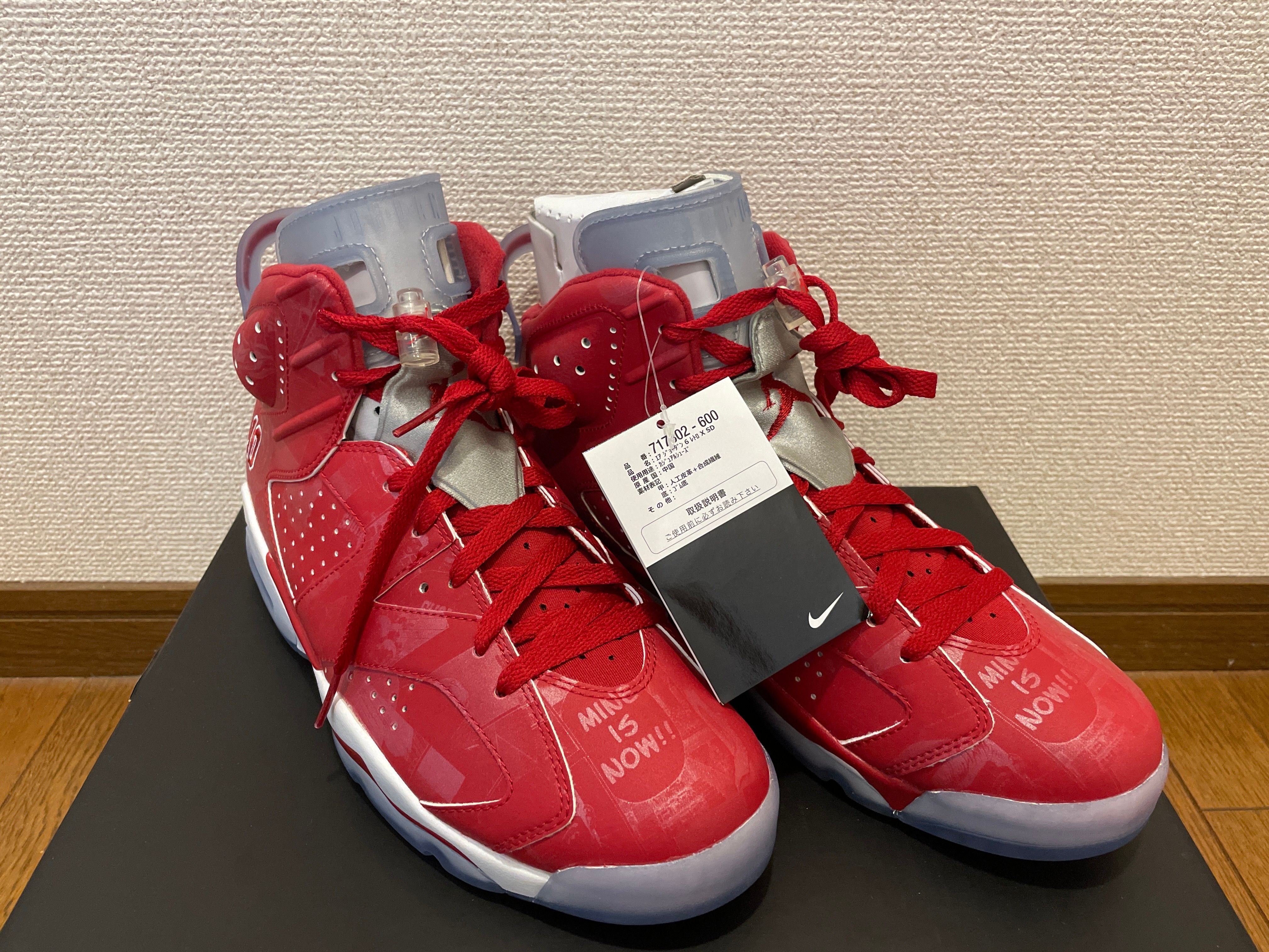 Nike Air Jordan 6 RETRO "SLAM DUNK"