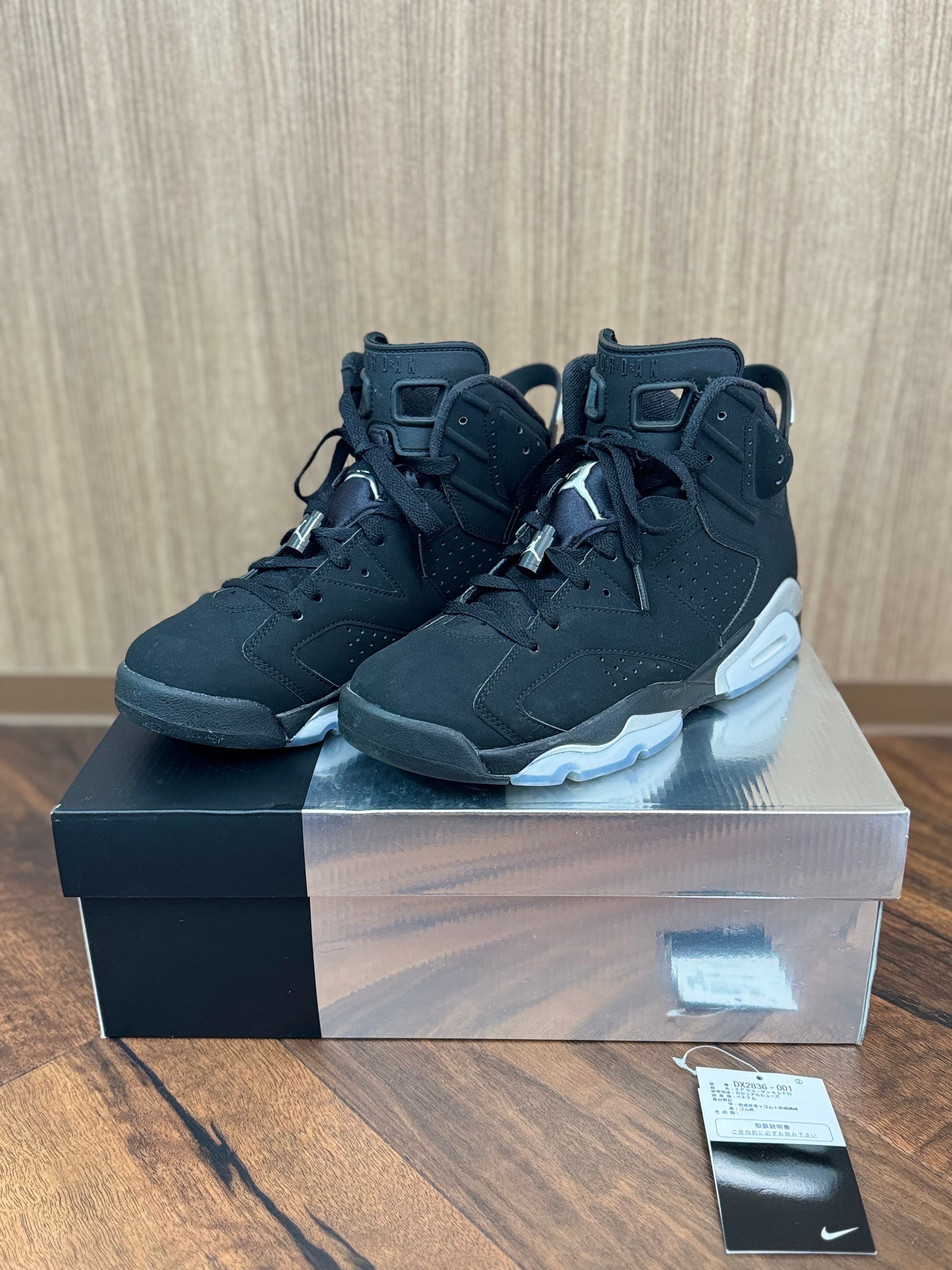 Nike Air Jordan 6 Retro "Metallic Silver"