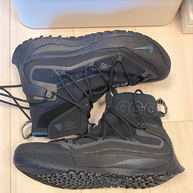 Nike ACG Air Terra Antarktik GORE-TEX "Midnight"