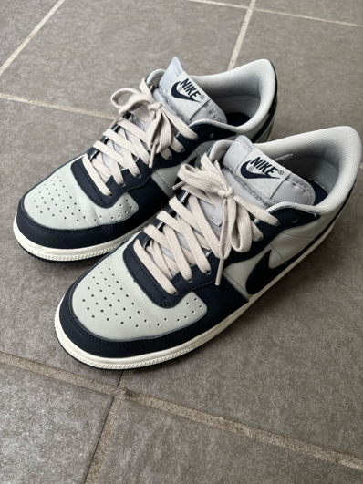 Nike Terminator Low "Dark Obsidian and Granite/Georgetown"(2023)